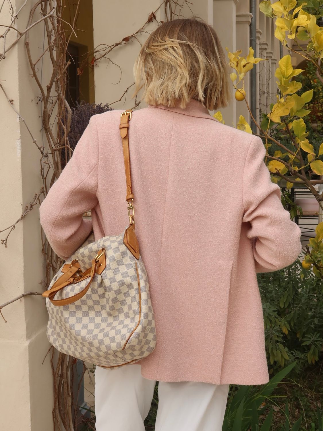 Louis Vuitton Evora MM Bag