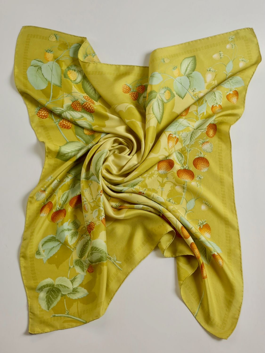 Loewe Botanical Silk Scarf Loewe Botanical Silk Scarf