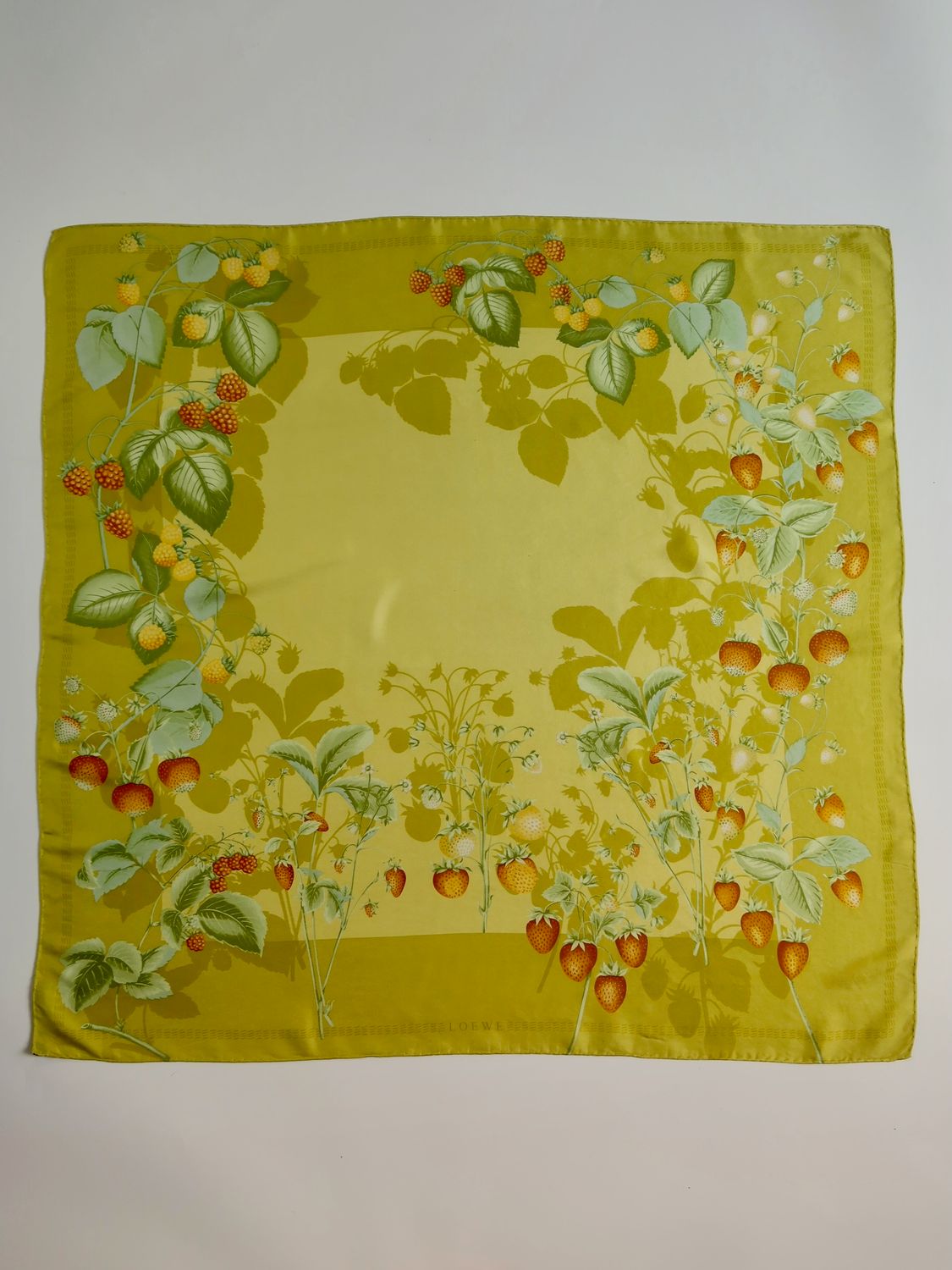 Loewe Botanical Silk Scarf Loewe Botanical Silk Scarf