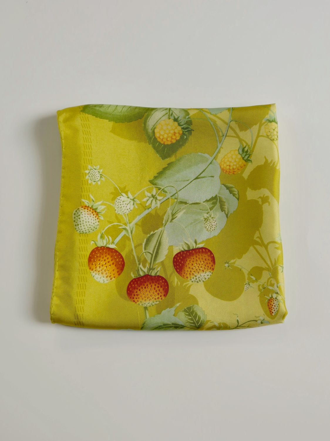 Loewe Botanical Silk Scarf Loewe Botanical Silk Scarf
