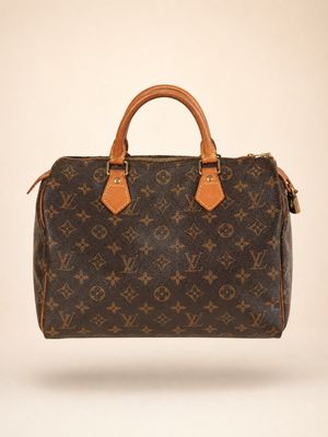 Louis Vuitton Speedy 30 Bag