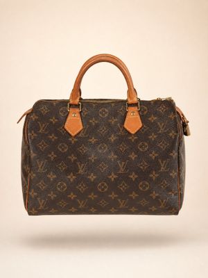 Louis Vuitton Speedy 30 Bag