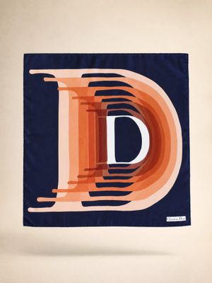 Christian Dior D Motif Silk Scarf