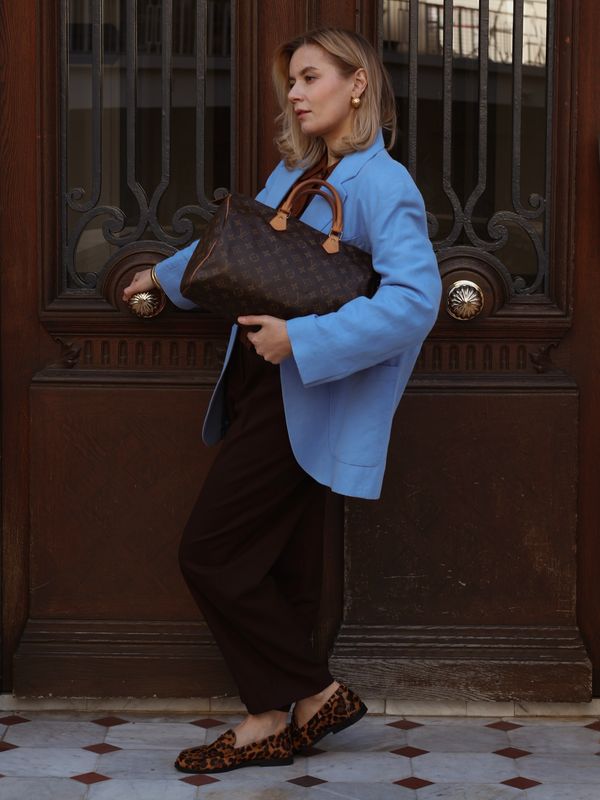 Louis Vuitton Speedy 35 Bag