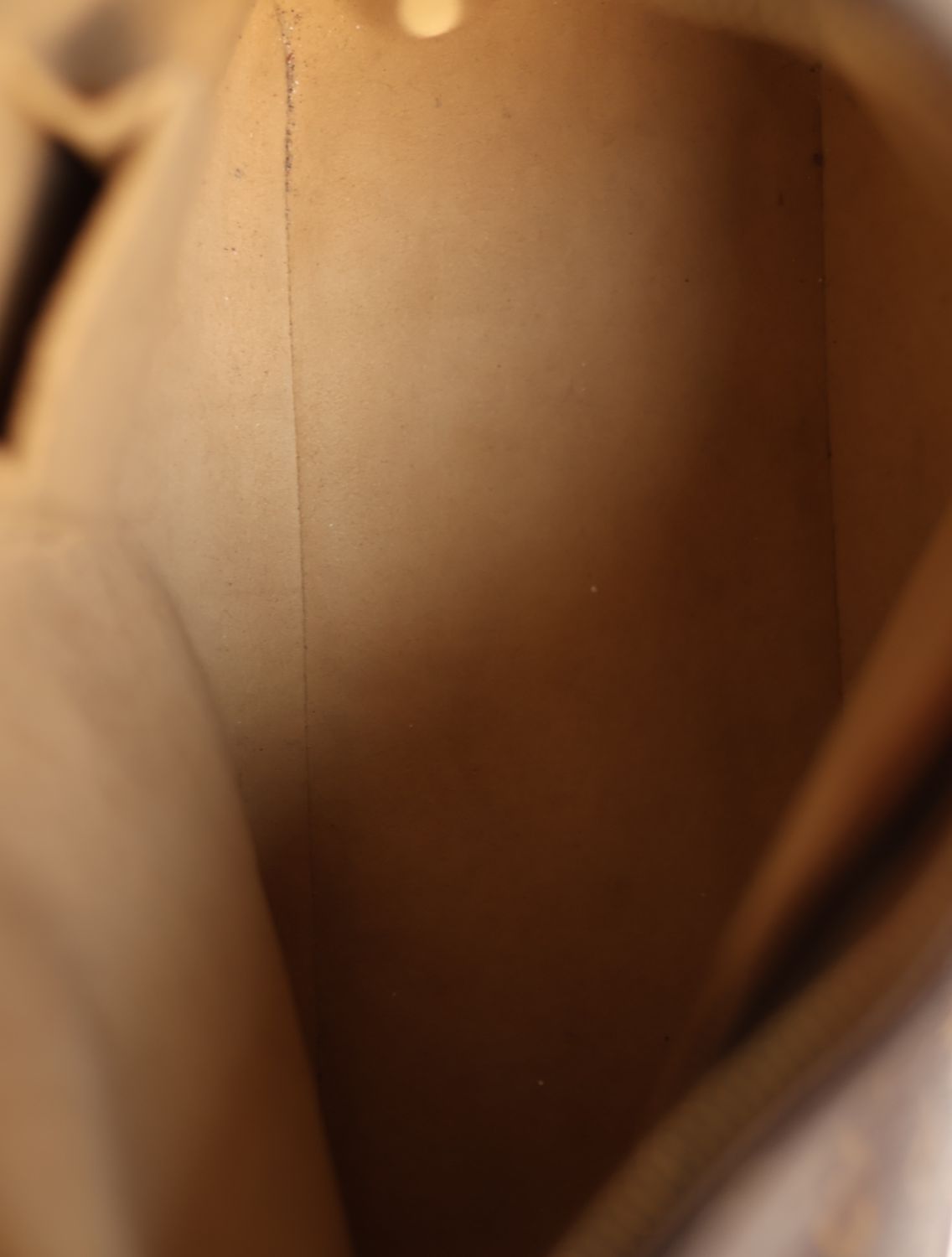 Louis Vuitton Looping GM Bag