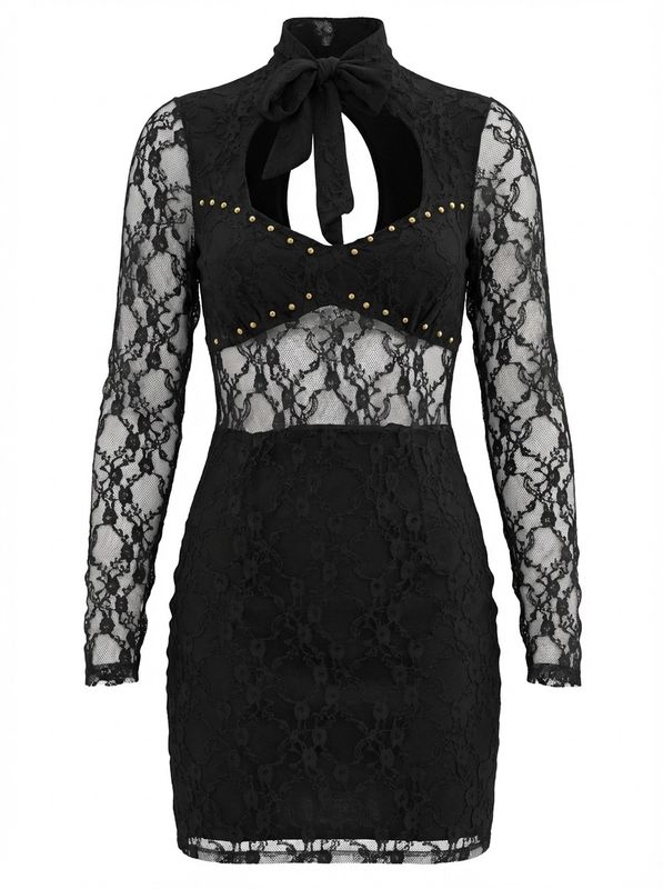 L-SLEEVES LACE MINI DRESS
