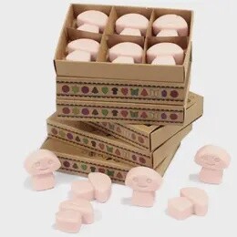 WAX MELTS OLD GINGER
