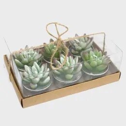 CANDLE TEALIGHTS PK6 SUCCULENTS