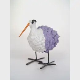 SEAGULL SEEDPOD