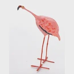 FLAMINGO SEEDPOD