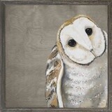 SWEET BARN OWL
