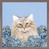 BLUE HYDRANGEA CAT