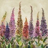 FOXGLOVES 39X39