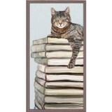CAT ON BOOKS 2