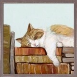 CAT ON BOOKS 3