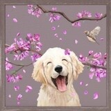 DOGS AND BIRDS GOLDEN PUP