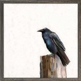 FALL RAVEN MINI
