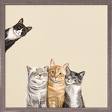 FELINE FRIENDS 3+1