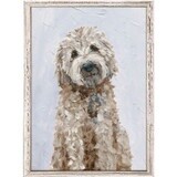 GOLDEN DOODLE
