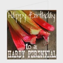 HARDY PERENNIAL BIRTHDAY CARD