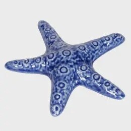 CERAMIC STARFISH