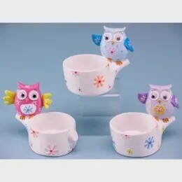 OWL TRINKET POT ASSRTD 7CM