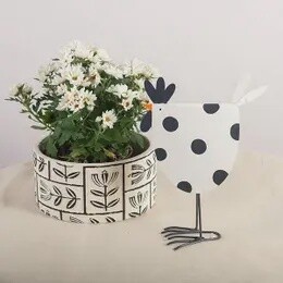 METAL ROOSTER POLKA DOTS B/W