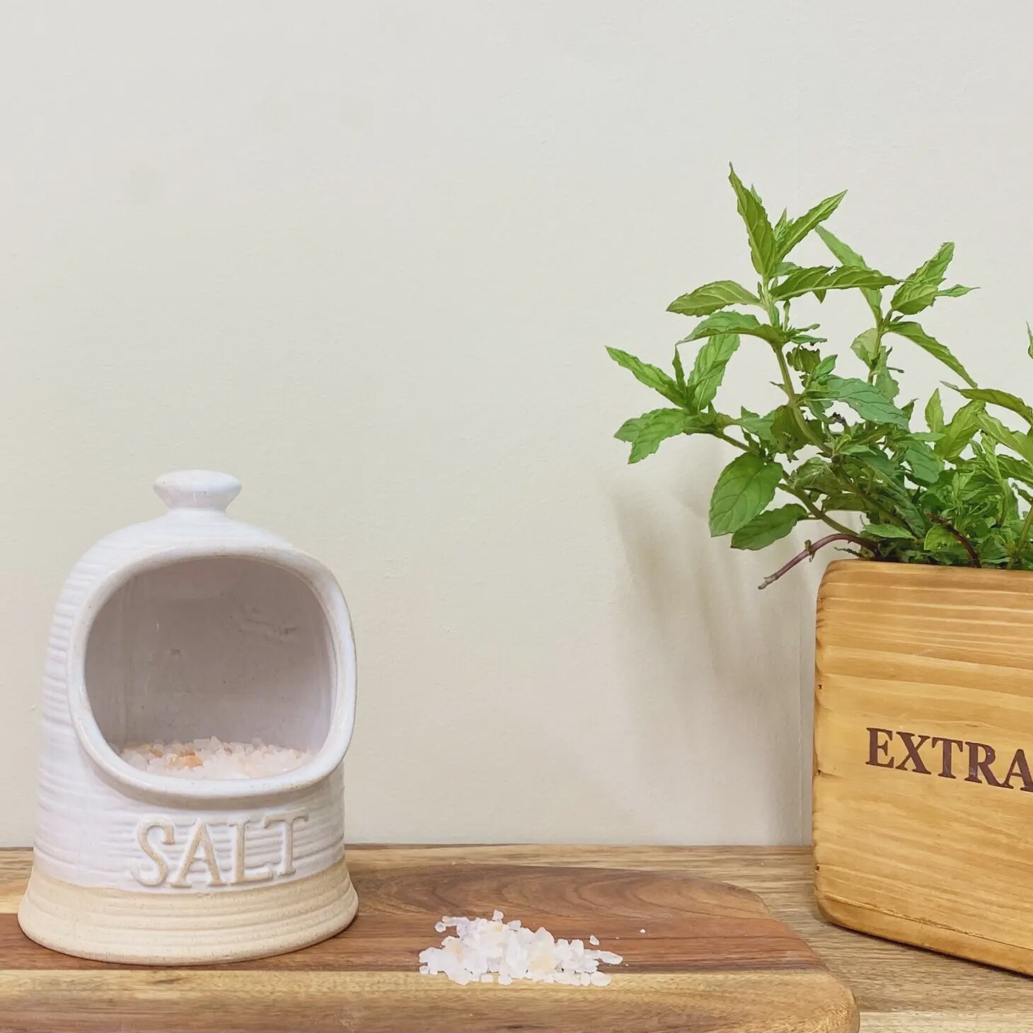 NATURAL CERAMIC SALT CELLAR