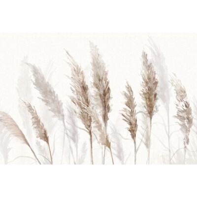 PAMPAS ON CANVAS