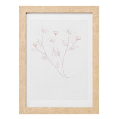 FRAMED FLORAL SKETCH 12X16