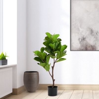 FIDDLE LEAF TREE 41" HIGH