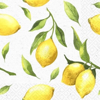 CITRUS NAPKINS
