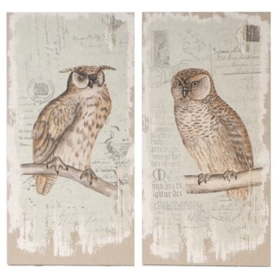 OWL PRINT