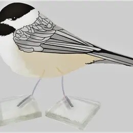 BACKYARD BIRD CHICKADEE