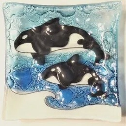 ORCA FAMILY SQ DISH