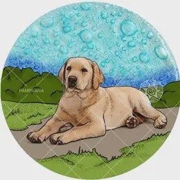 YELLOW LAB GLASS ORNAMENT/SUNCATCHER