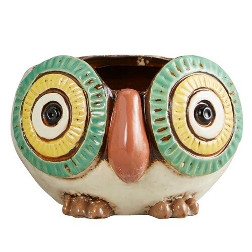OWL PLANT POT