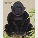 GORILLA