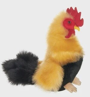 ROY ROOSTER