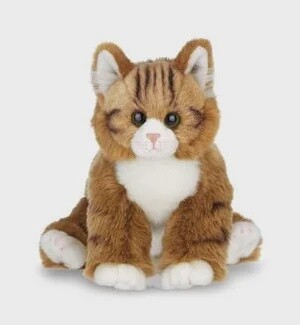 MANNY CAT