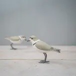 MINI PLOVER BIRD ORNAMENT