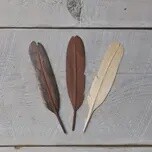 WOODEN FEATHERS ASST.
