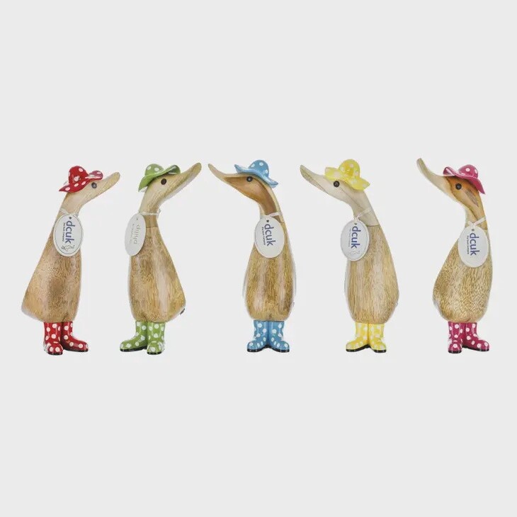 SPOTTY HAT DUCKS