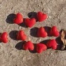 GLASS RED HEART