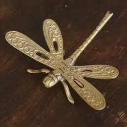 GOLDEN BRONZE DRAGONFLY