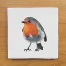ROBIN VINTAGE STYLE TILES