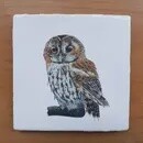TAWNY OWL VINTAGE STYLE TILE