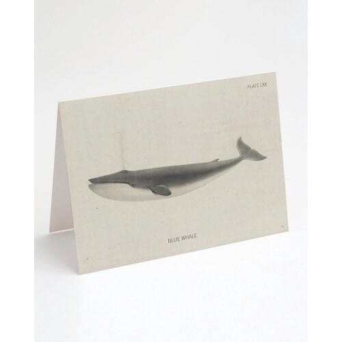 GREETING CARD