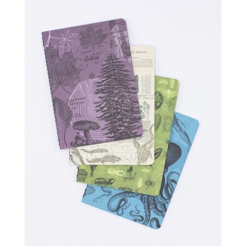 4 PACK JOURNALS - NATURAL SCIENCE