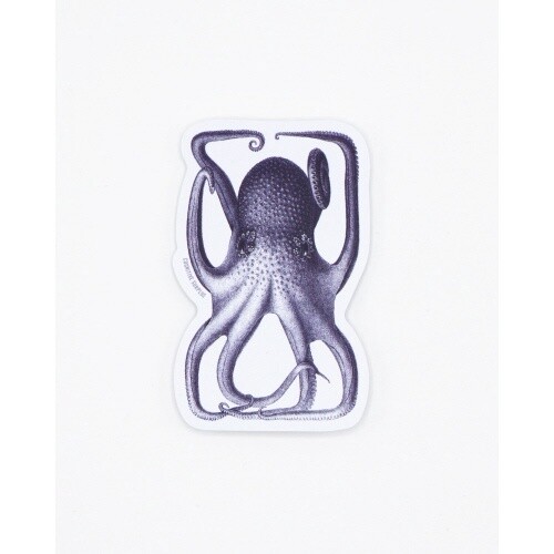 OCTOPUS STICKER